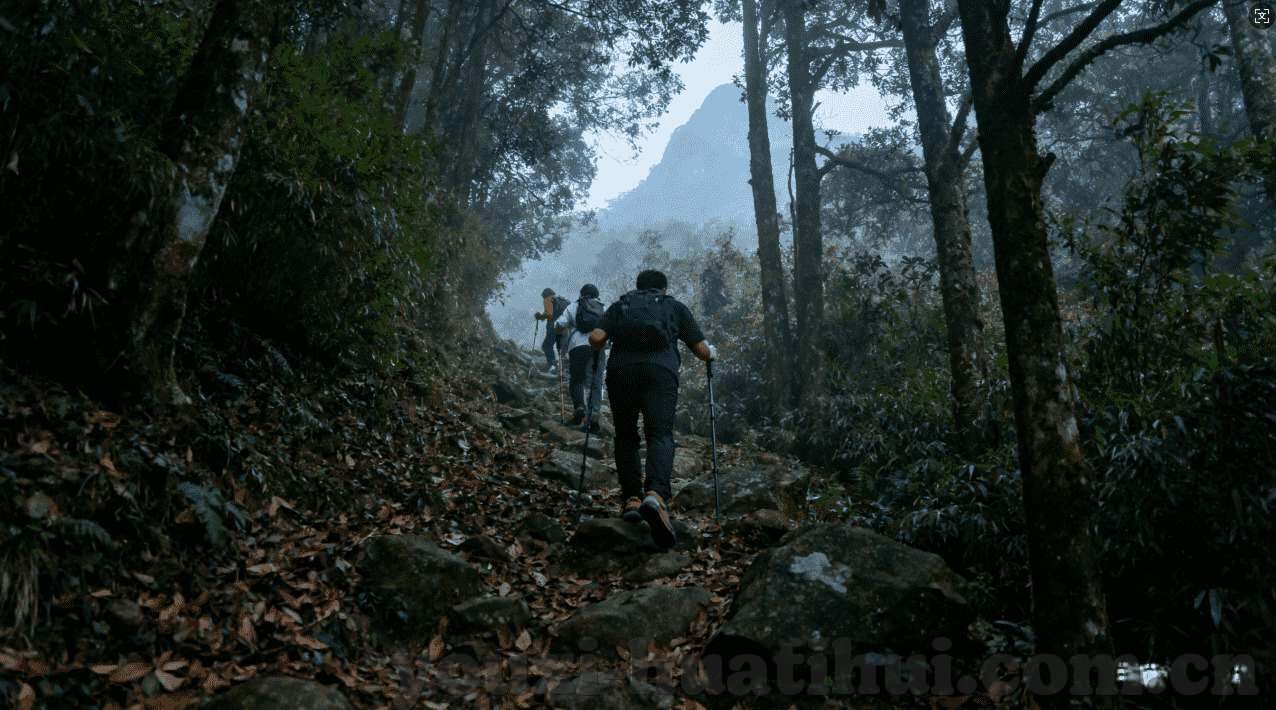 澳门威尼斯人赌场美女-澳门威尼斯人赌场美女，独特风景线与文化碰撞